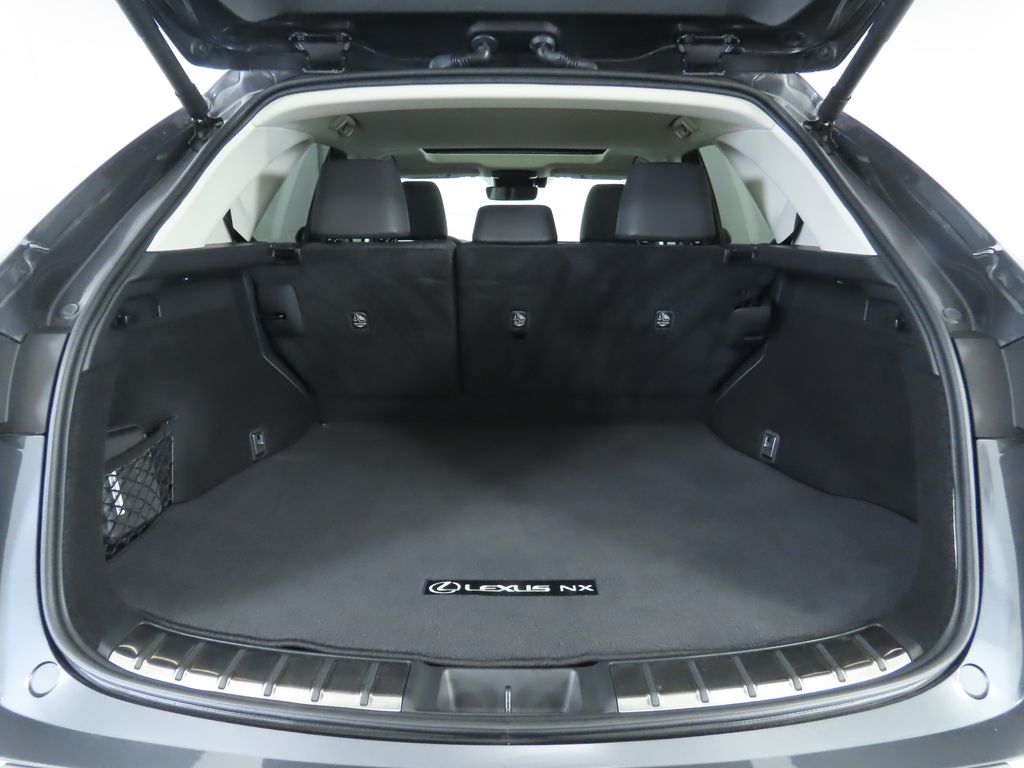 2024 Lexus NX 250 photo 25