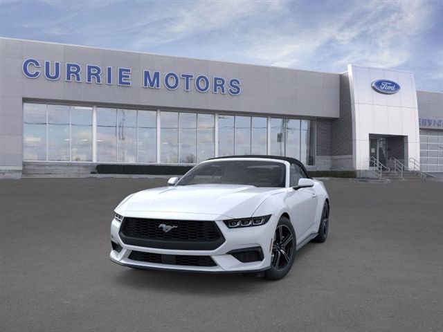 2025 FORD MUSTANG - Image 24