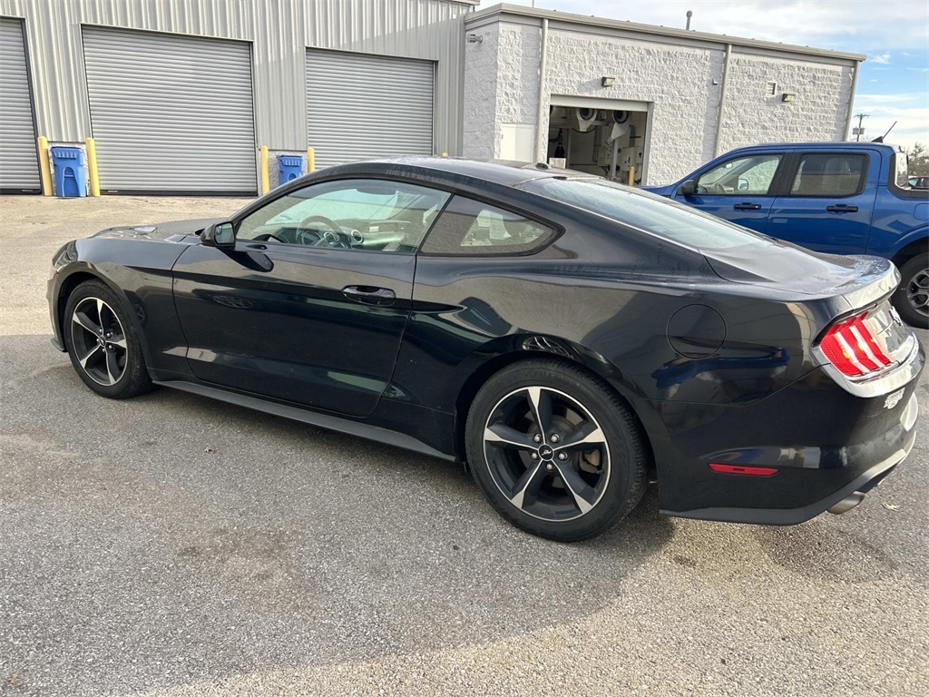 2019 Ford Mustang EcoBoost photo 4