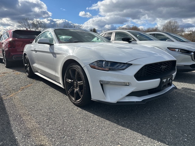 2019 Ford Mustang EcoBoost photo 3