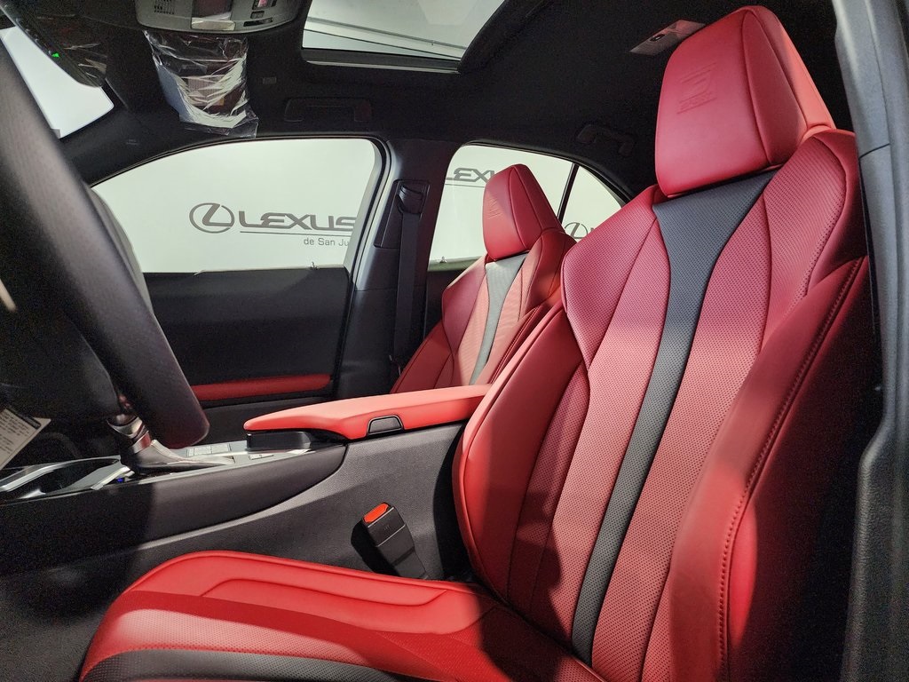 2025 Lexus UX photo 13