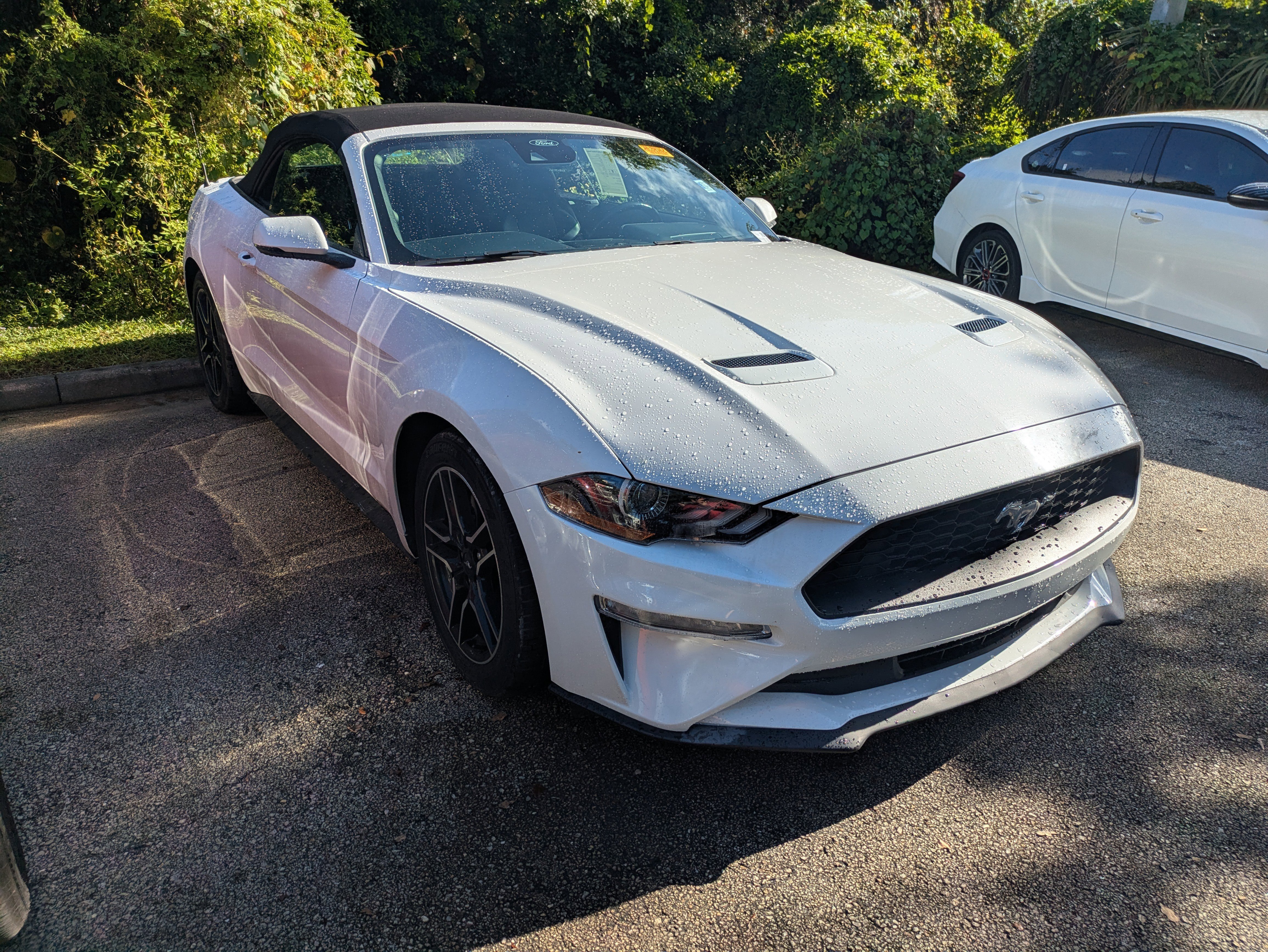 2022 Ford Mustang