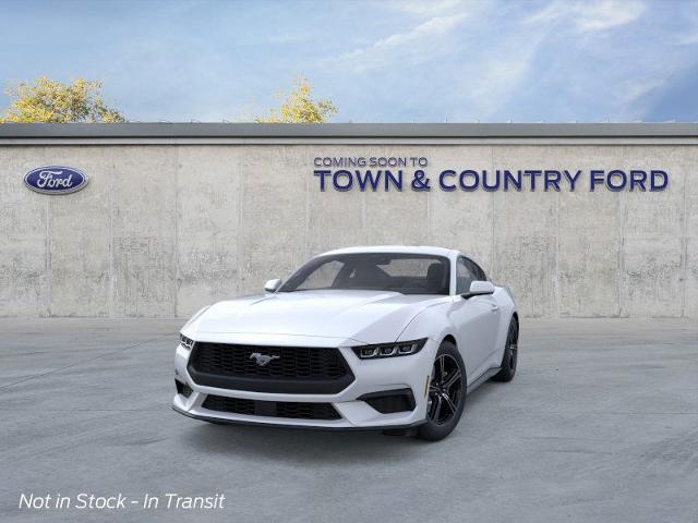 2025 Ford Mustang EcoBoost photo 11