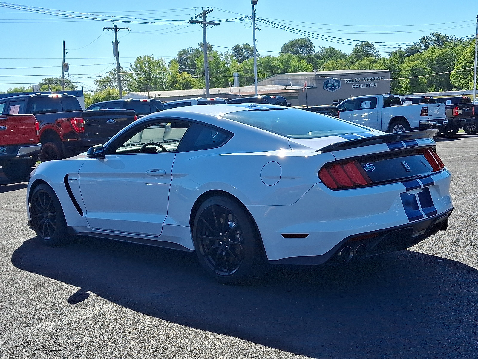 2016 Ford Mustang Shelby GT350 photo 7