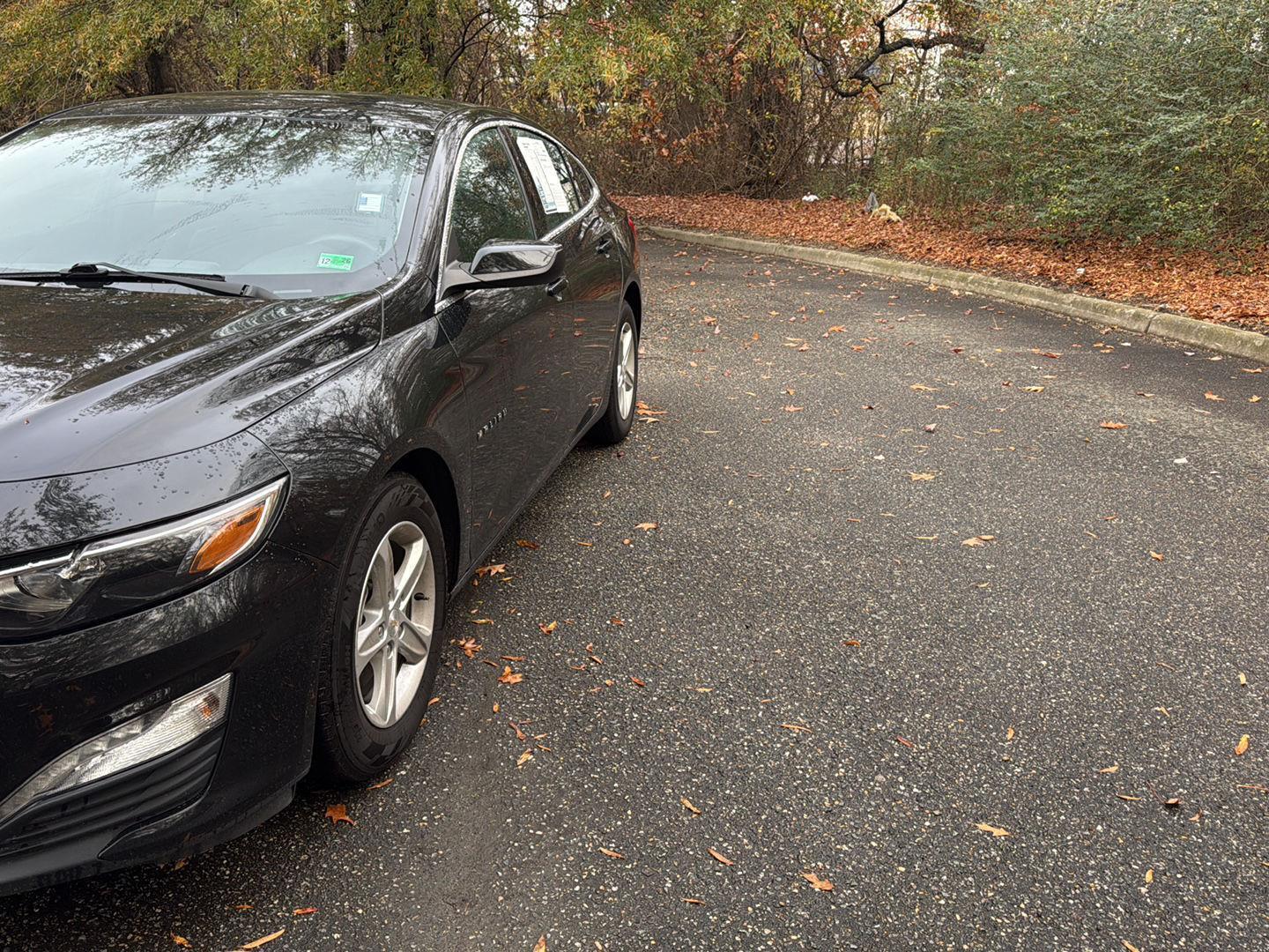2023 Chevrolet Malibu 1LT photo 3