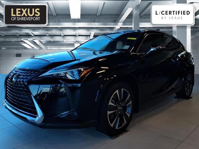 2024 Lexus UX Hybrid 250h Premium's photo