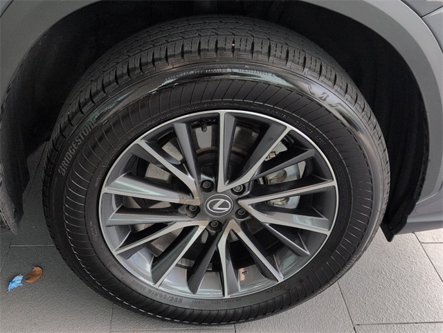 2025 Lexus NX 250 photo 16
