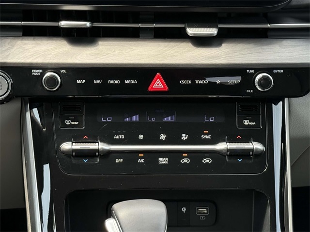 2024 Kia Carnival SX photo 17