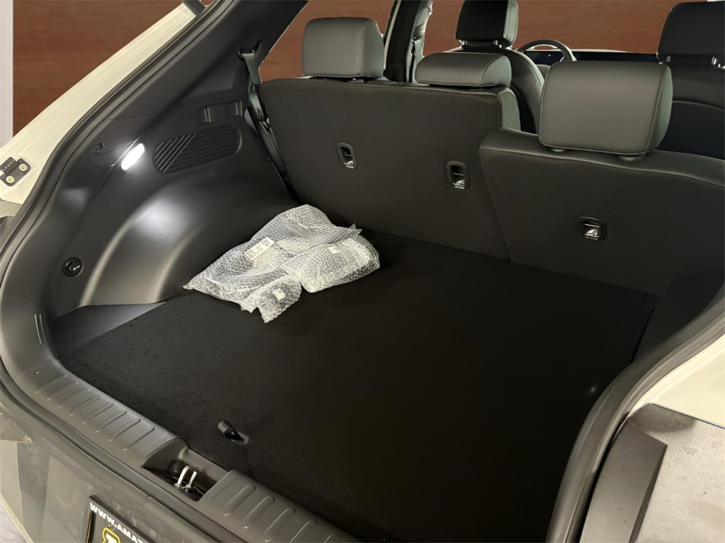 2025 Hyundai Ioniq 5 SEL photo 25