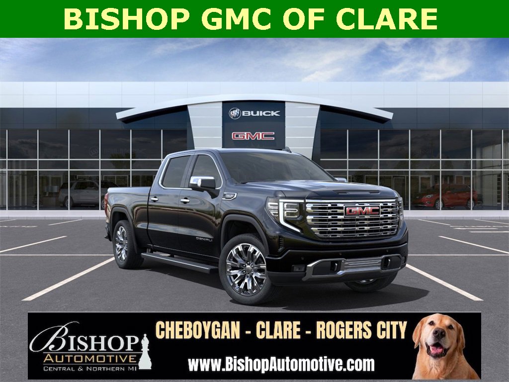 2025 Gmc Sierra 1500 Denali photo 3