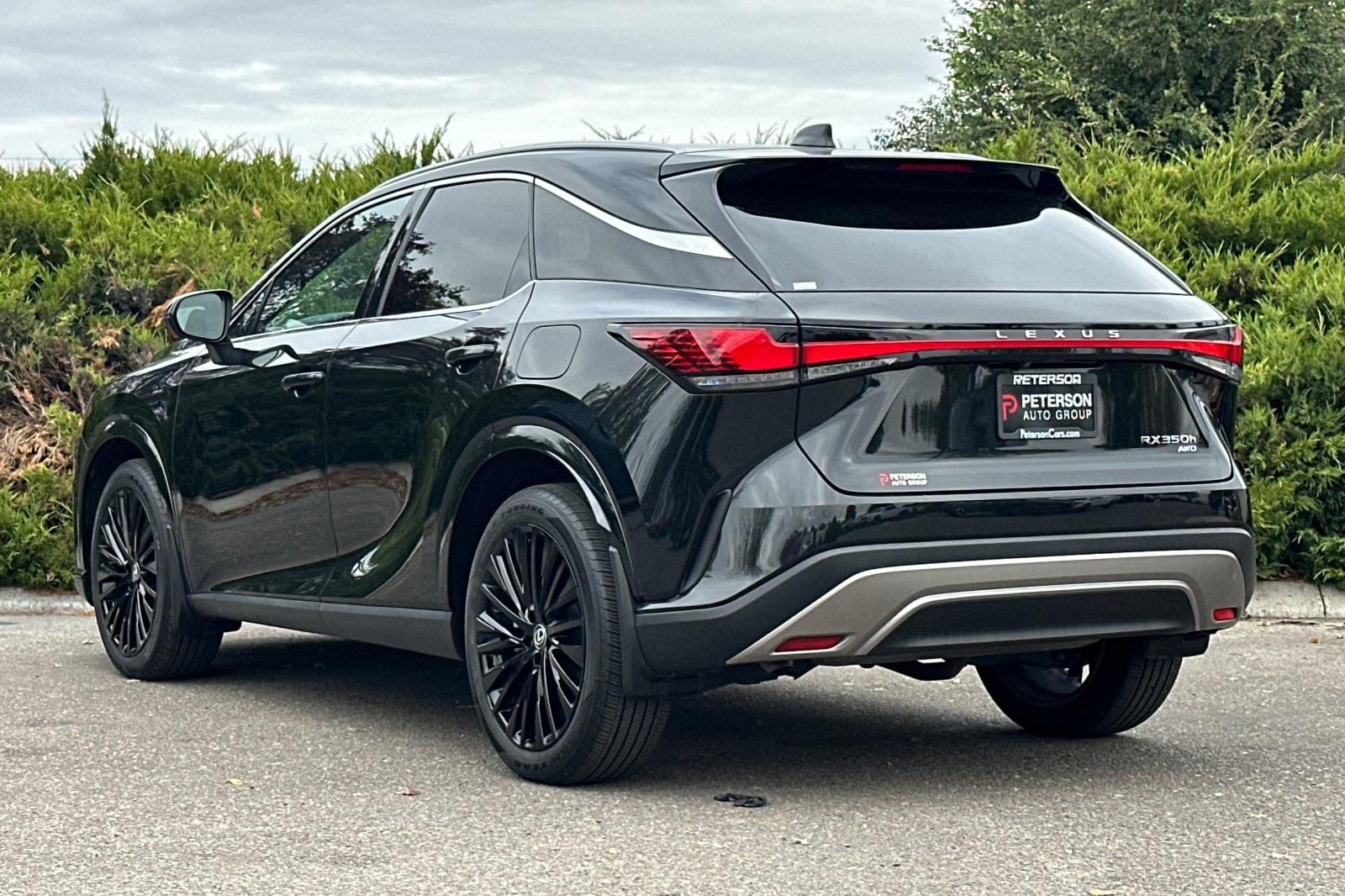 2023 Lexus RX 350h Premium AWD photo 4