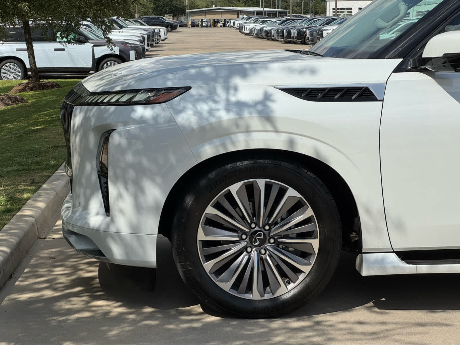 2025 Infiniti QX80 Sensory photo 12