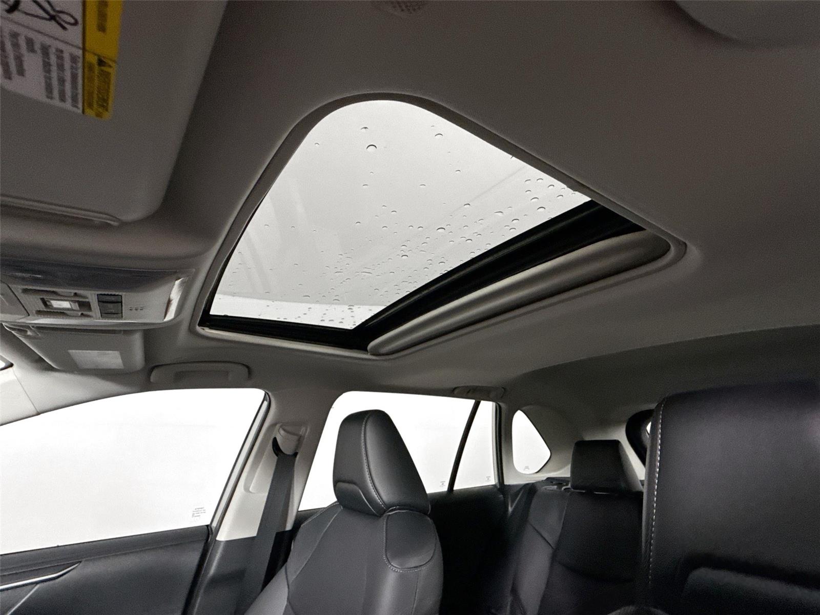 2025 Toyota RAV4 Hybrid XLE Premium photo 19