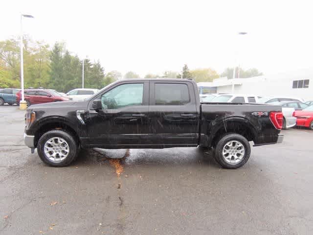 2023 Ford F-150 XLT photo 3