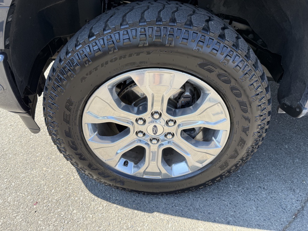 2021 Ford F-150 Platinum photo 28