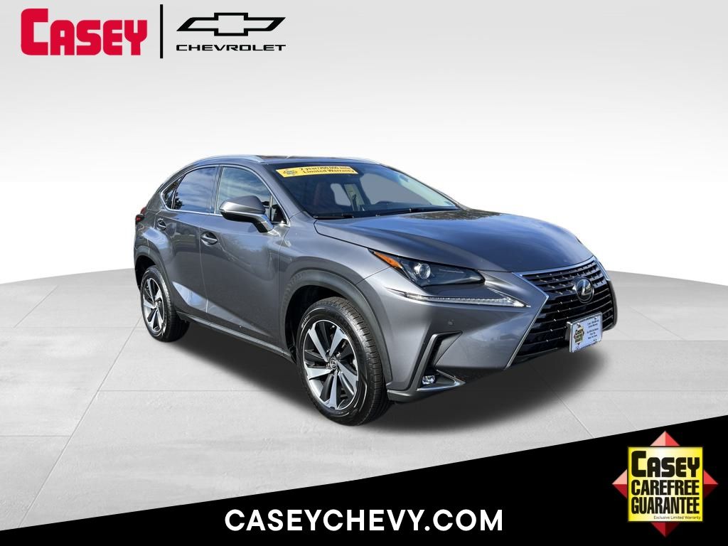 2019 Lexus NX 300's photo