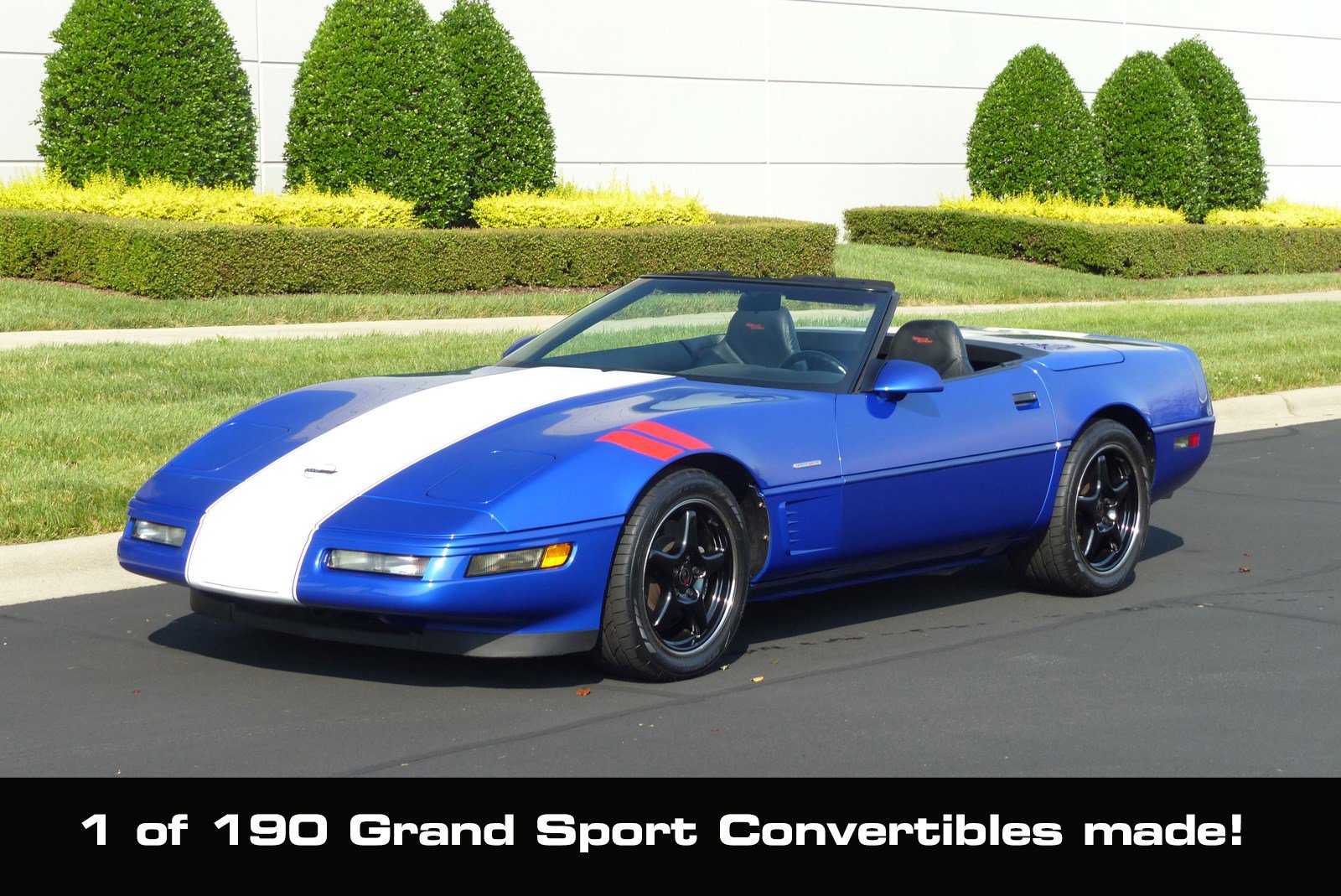 1996 Chevrolet Corvette's photo