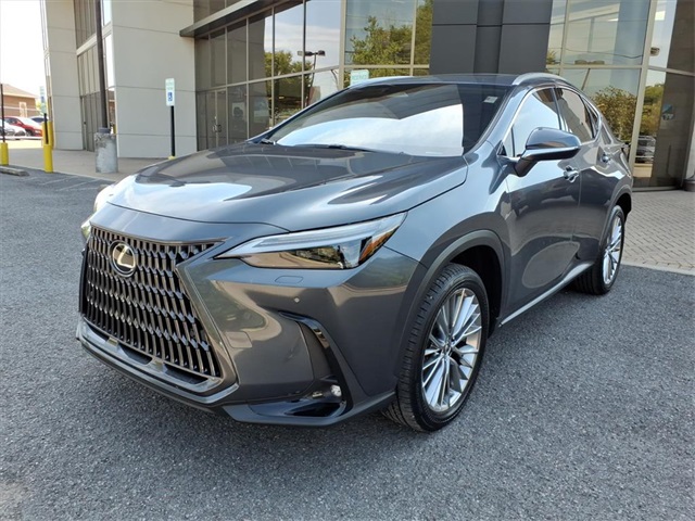 2023 Lexus NX 350h Luxury photo 6