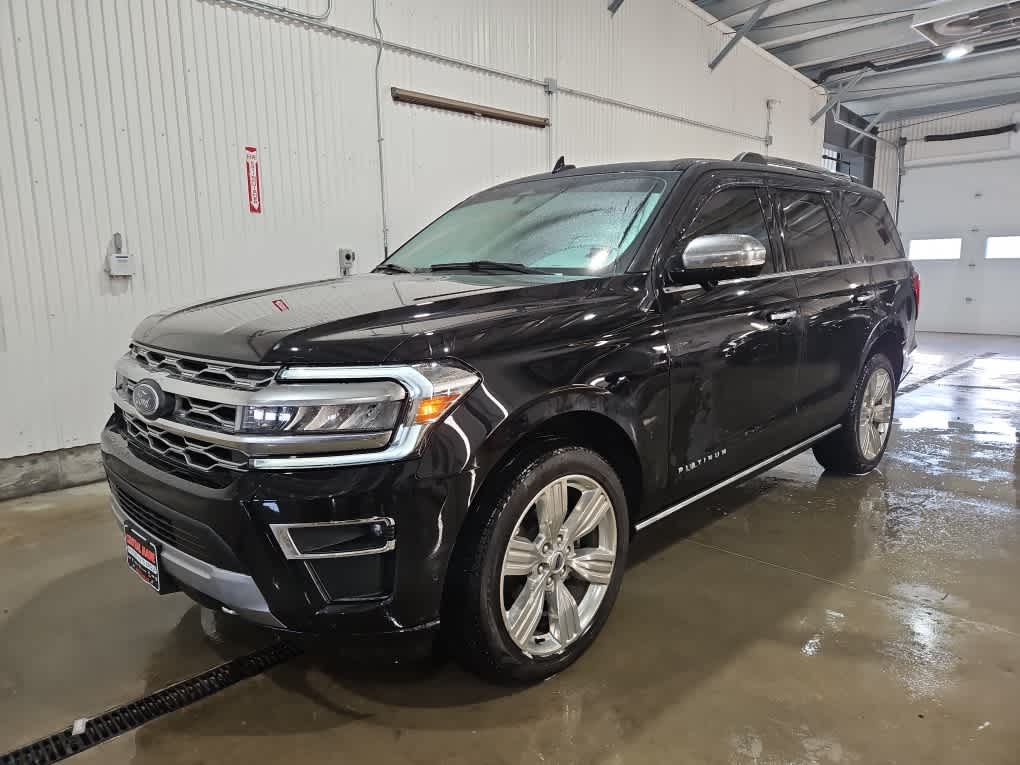 2024 Ford Expedition Platinum's photo