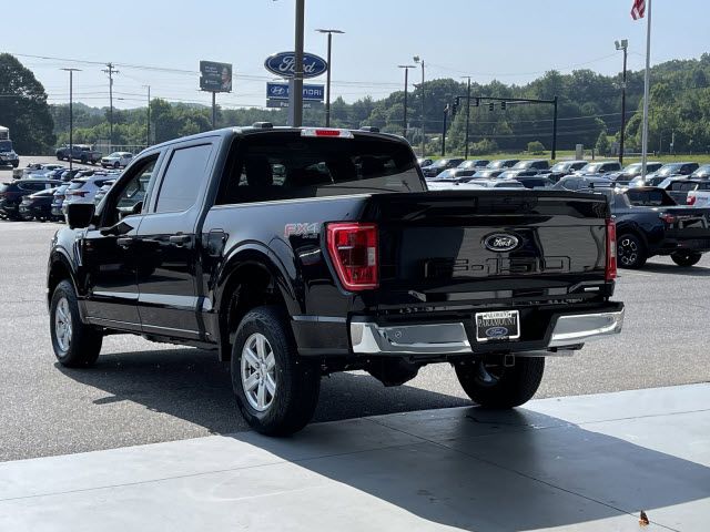 2023 Ford F-150 XLT photo 8