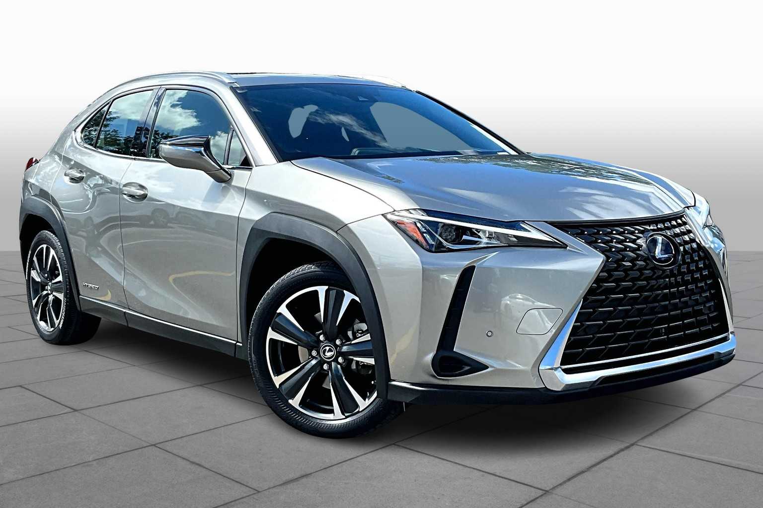 2021 Lexus UX 250h photo 2
