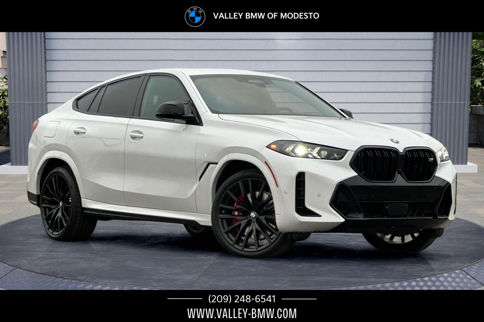2026 BMW X6 M60i's photo