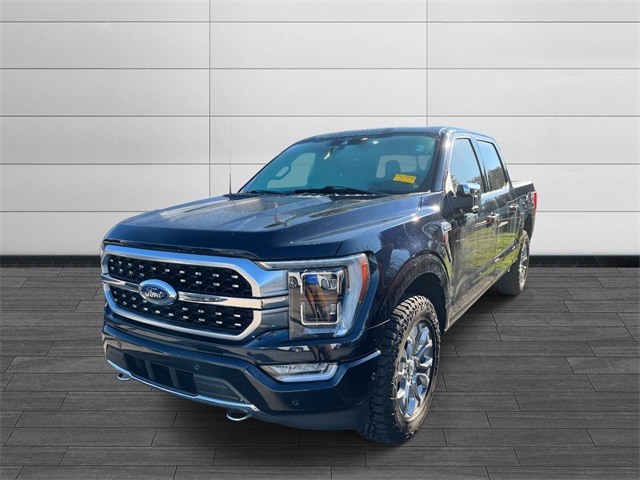 2022 Ford F-150 Platinum photo 3