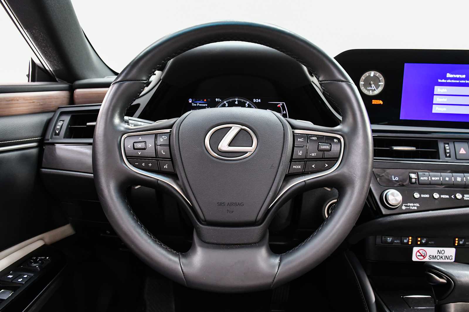 2024 Lexus ES 250 Premium photo 13