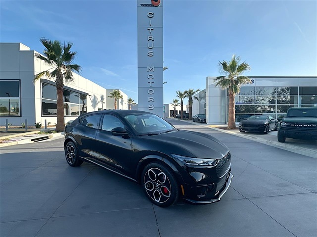 2021 Ford Mustang Mach-E GT AWD's photo