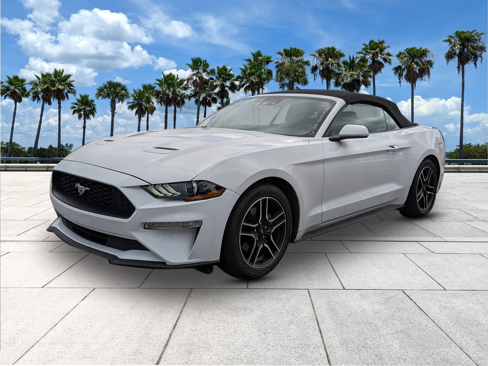 2023 Ford Mustang EcoBoost Premium photo 4