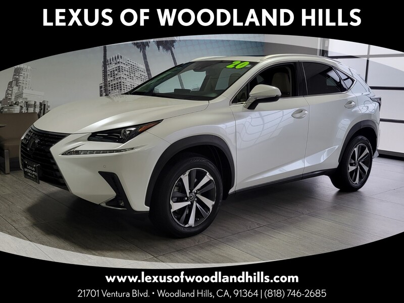 2020 Lexus NX 300's photo