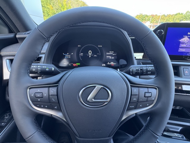 2025 Lexus UX Premium photo 12