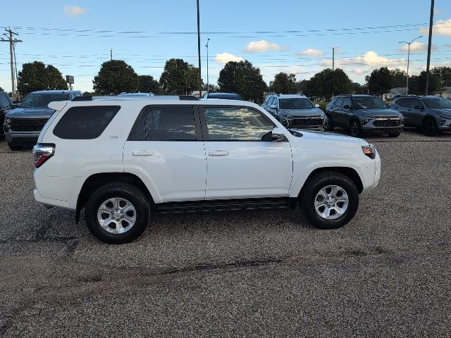 2024 Toyota 4Runner SR5 Premium photo 14
