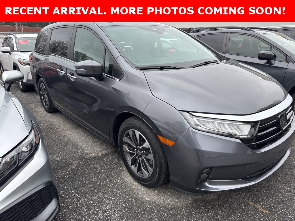 2023 Honda Odyssey EX-L's photo