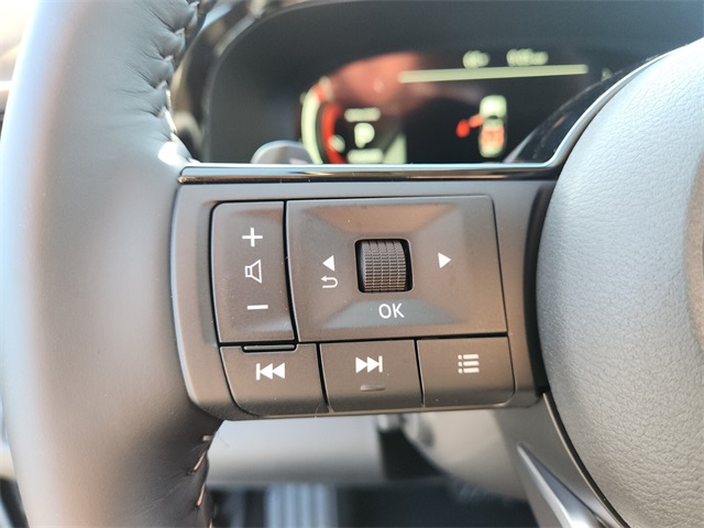 2025 Nissan Pathfinder Platinum photo 14