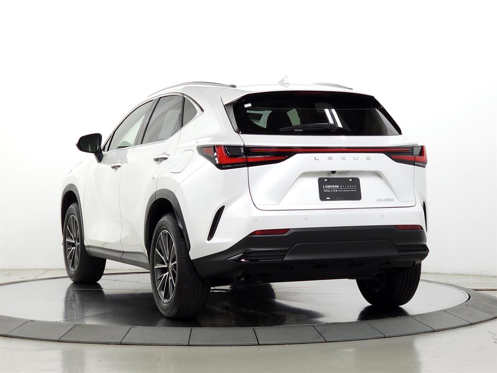 2024 Lexus NX 250 Premium photo 6
