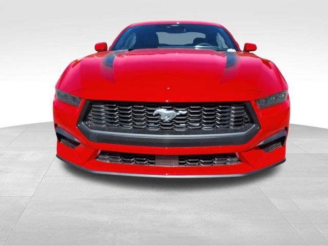 2025 Ford Mustang EcoBoost Premium photo 10