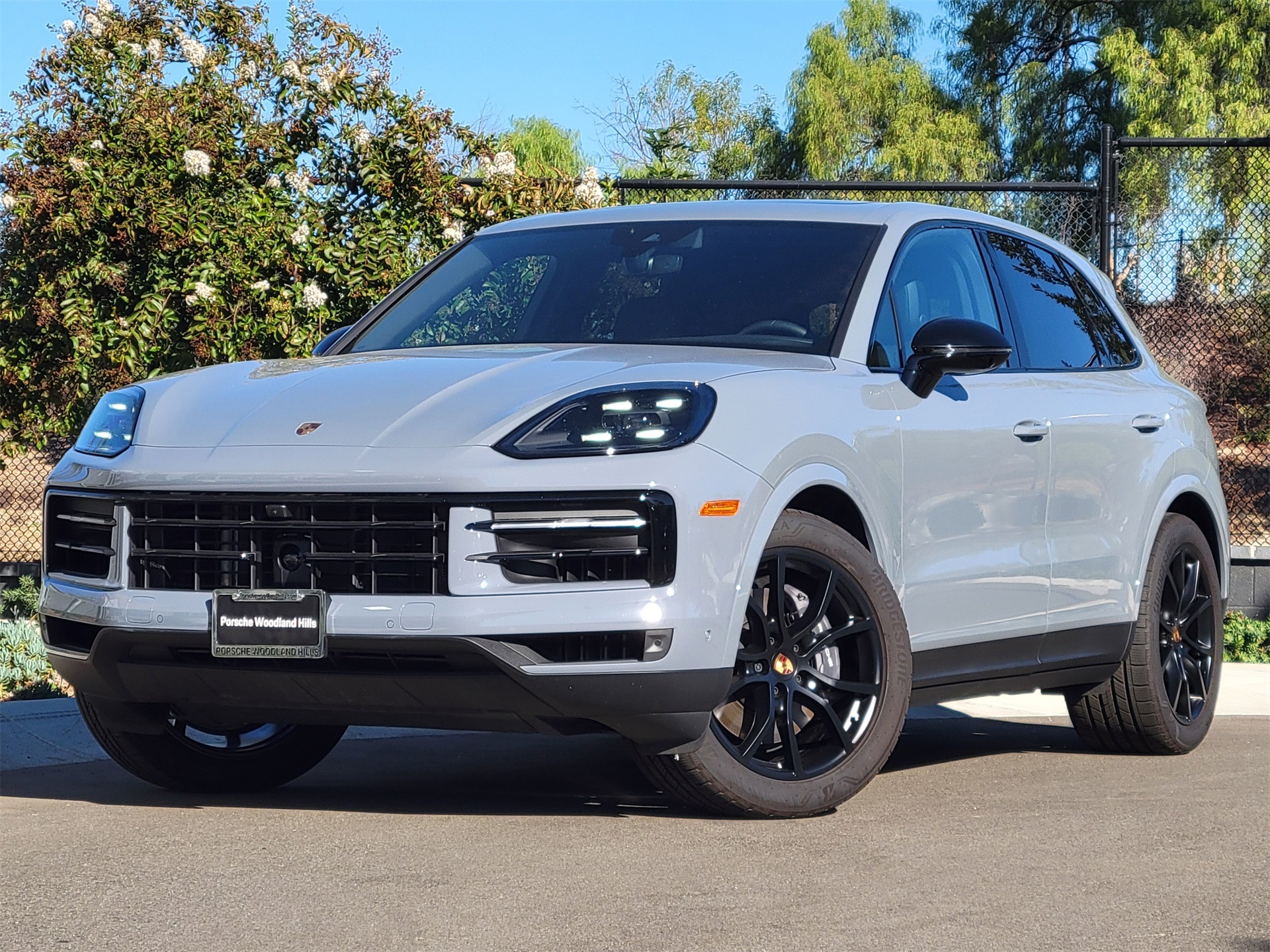 2025 Porsche Cayenne Base's photo