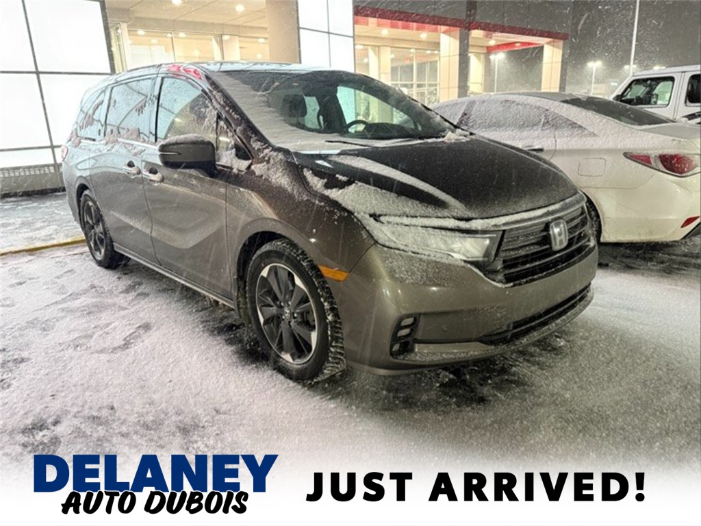 2022 Honda Odyssey Elite's photo