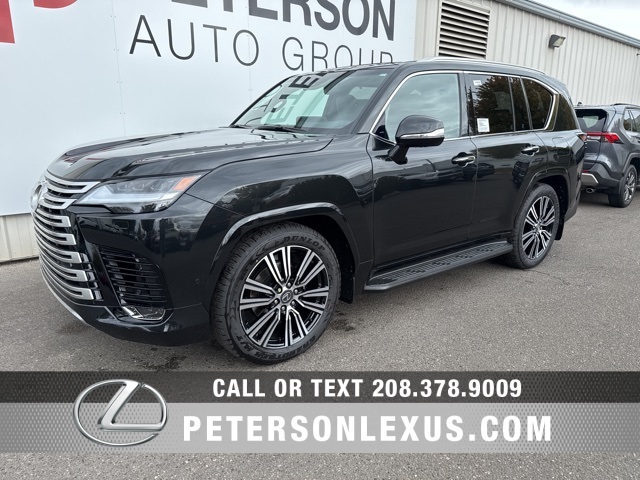 2025 Lexus LX Luxury photo 6