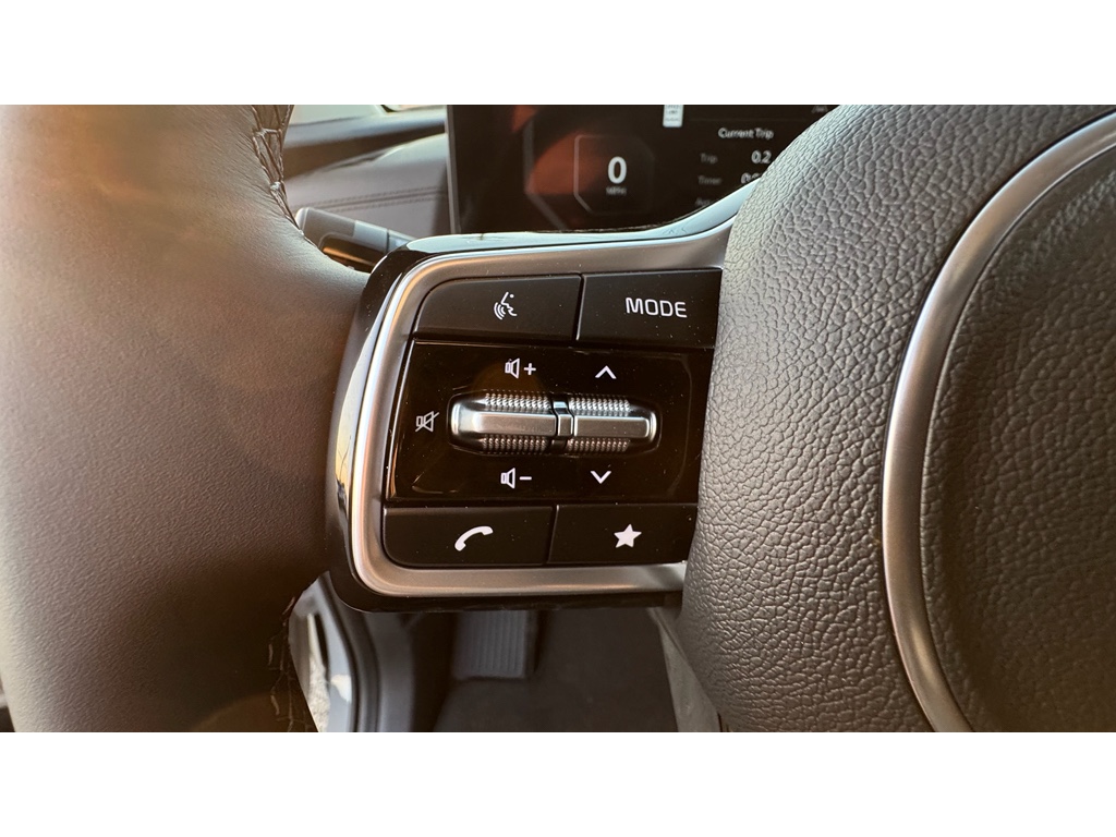 2026 Kia Carnival SX Prestige photo 9