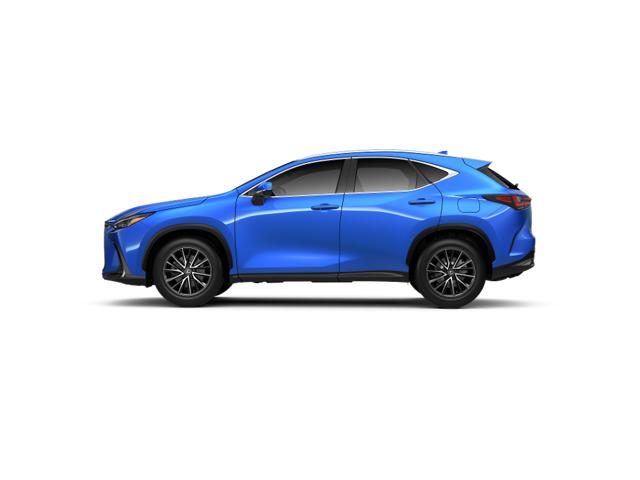 2025 Lexus NX 350h photo 2