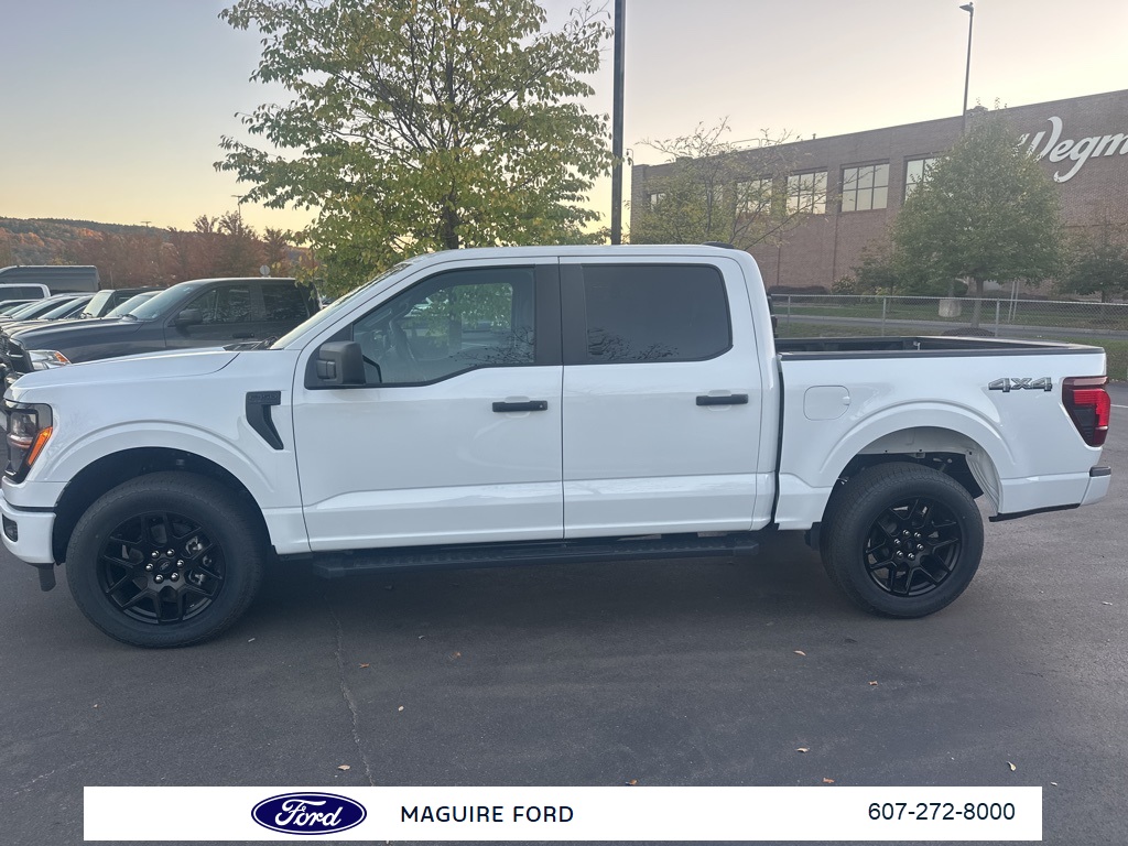 2025 Ford F-150 STX photo 8