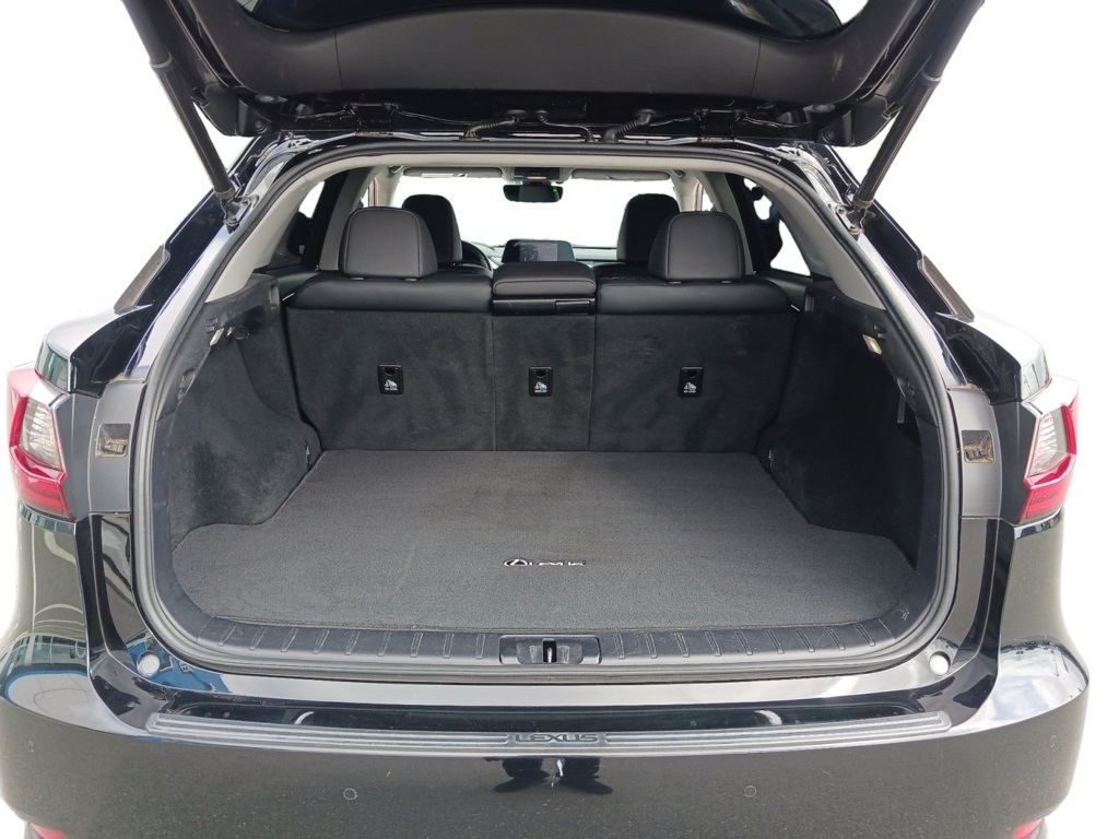 2020 Lexus RX 350 photo 8