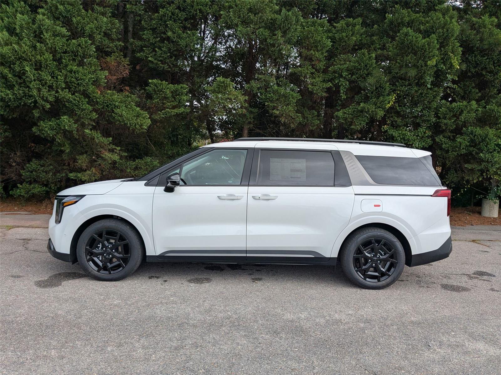 2026 Kia Carnival SX photo 10