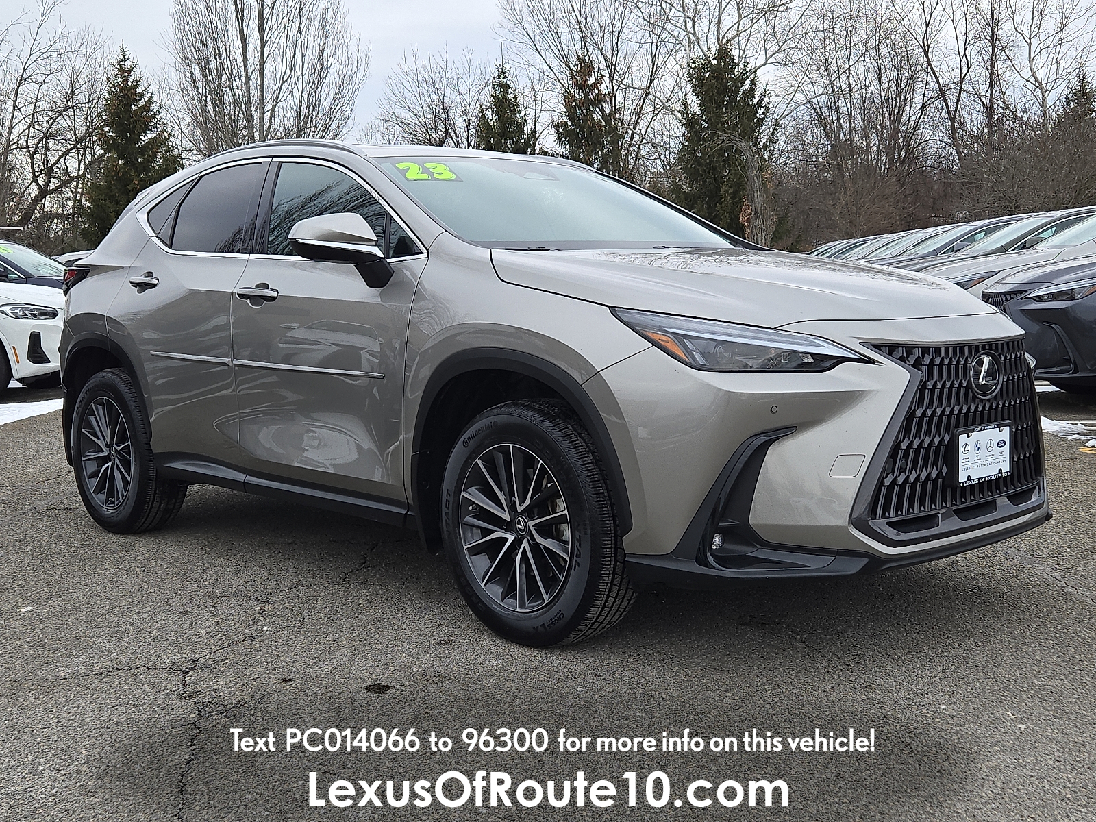 2023 Lexus NX Hybrid 350h's photo