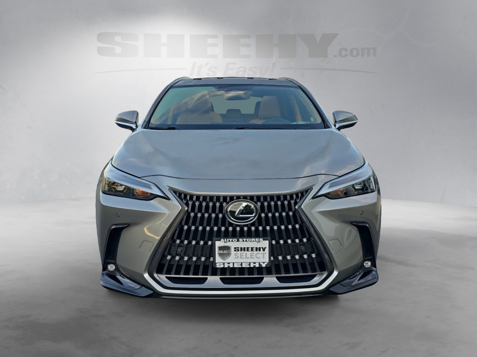 2024 Lexus NX 350 Premium photo 15