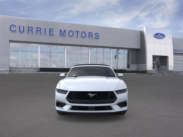 2025 Ford Mustang EcoBoost photo 4