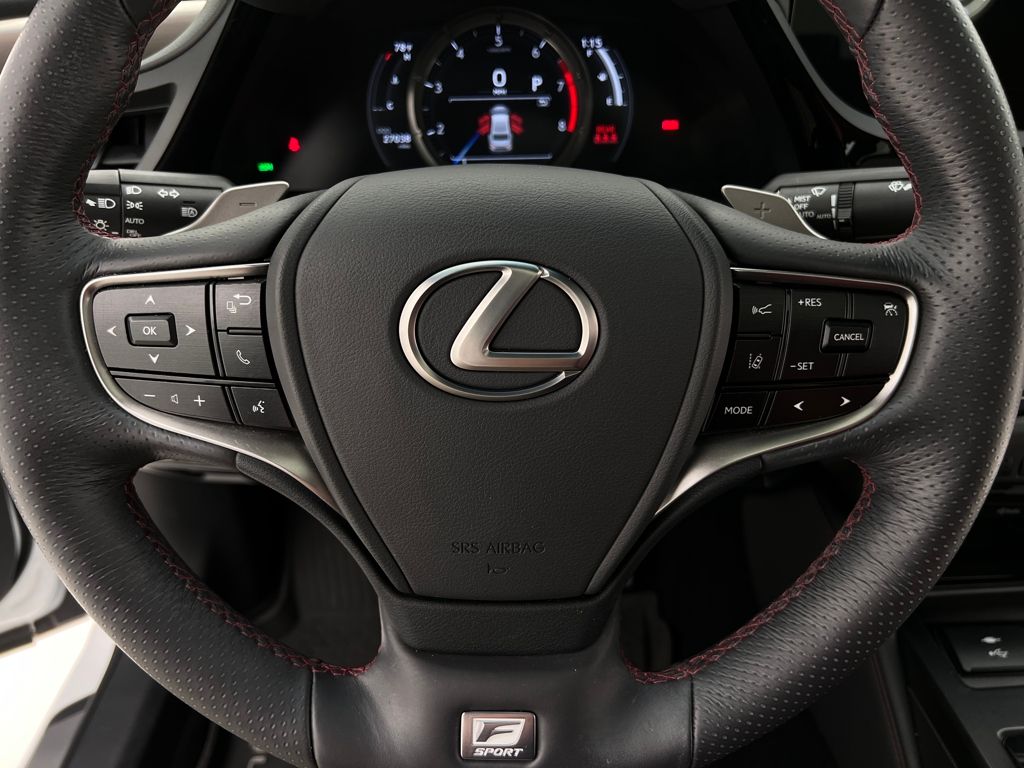 2022 Lexus ES 350 F SPORT photo 19