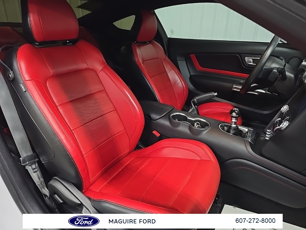2019 Ford Mustang GT Premium photo 14